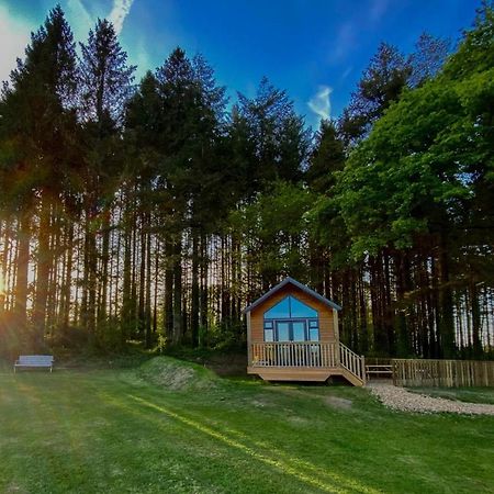 Cabin In The Woods - 1 Bedroom Lodge - Kilgetty Stepaside  Exteriér fotografie