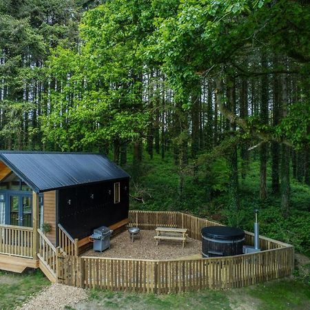 Cabin In The Woods - 1 Bedroom Lodge - Kilgetty Stepaside  Exteriér fotografie