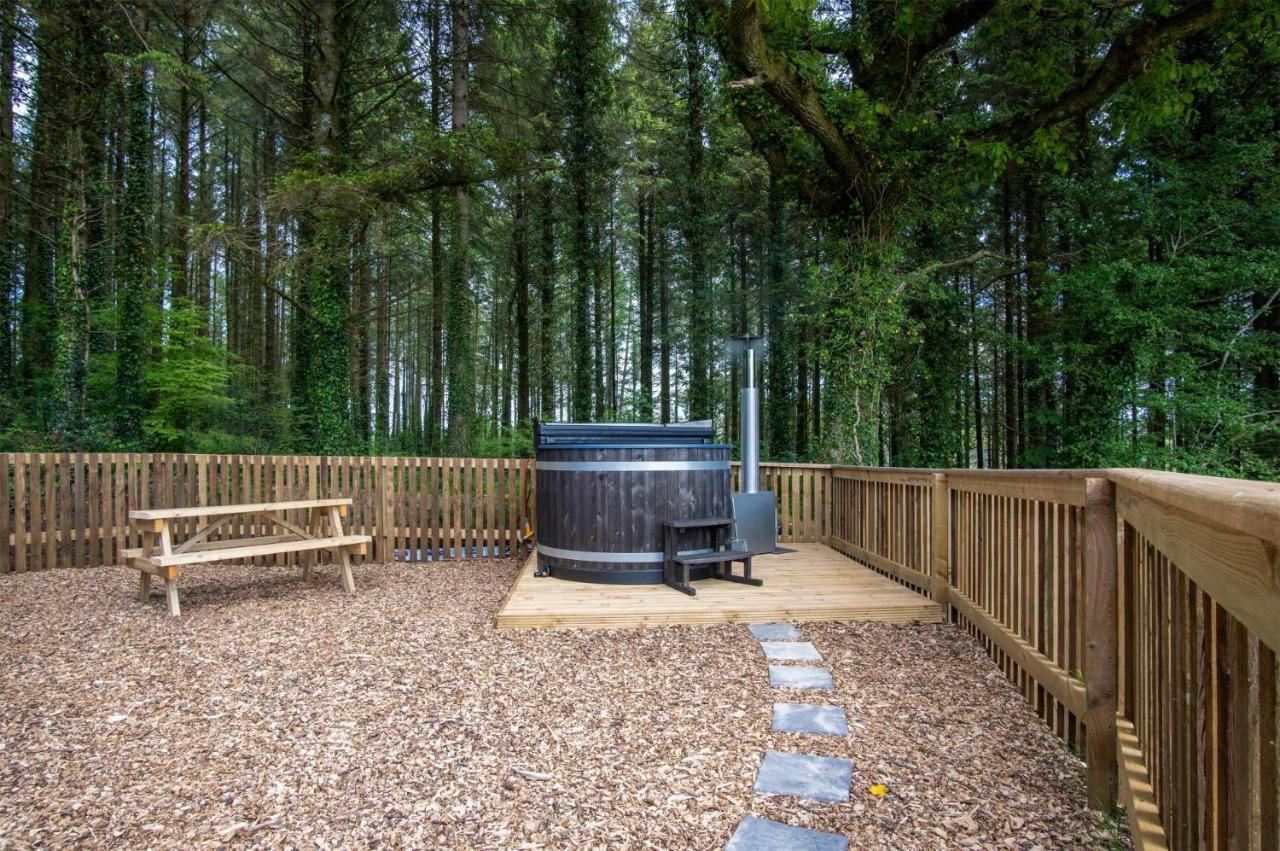 Cabin In The Woods - 1 Bedroom Lodge - Kilgetty Stepaside  Exteriér fotografie