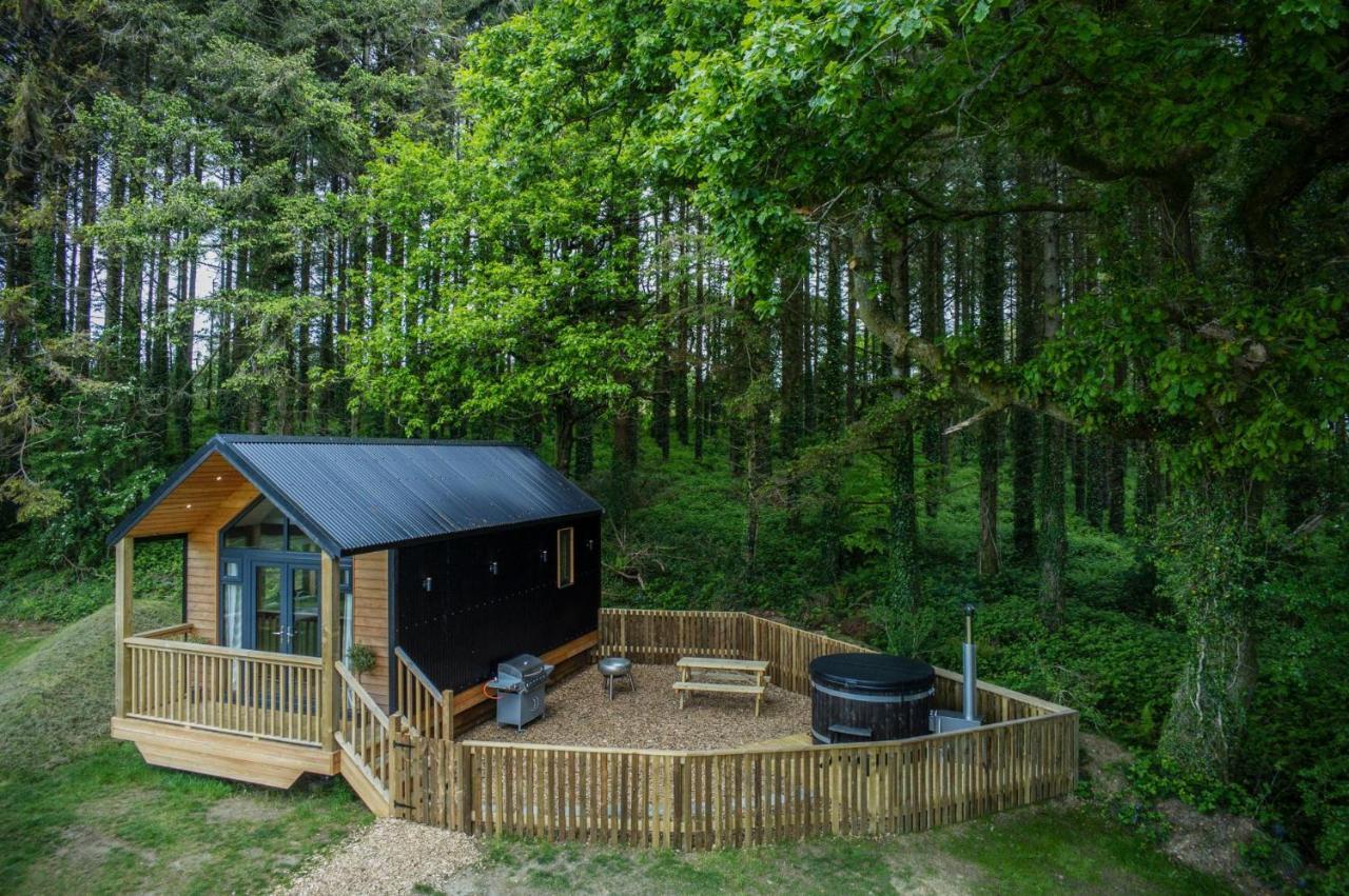 Cabin In The Woods - 1 Bedroom Lodge - Kilgetty Stepaside  Exteriér fotografie