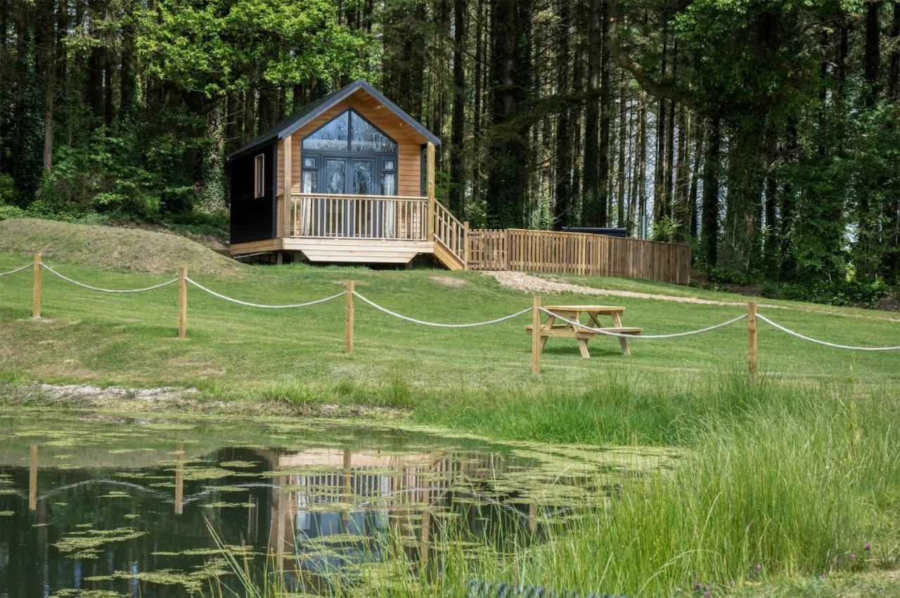 Cabin In The Woods - 1 Bedroom Lodge - Kilgetty Stepaside  Exteriér fotografie