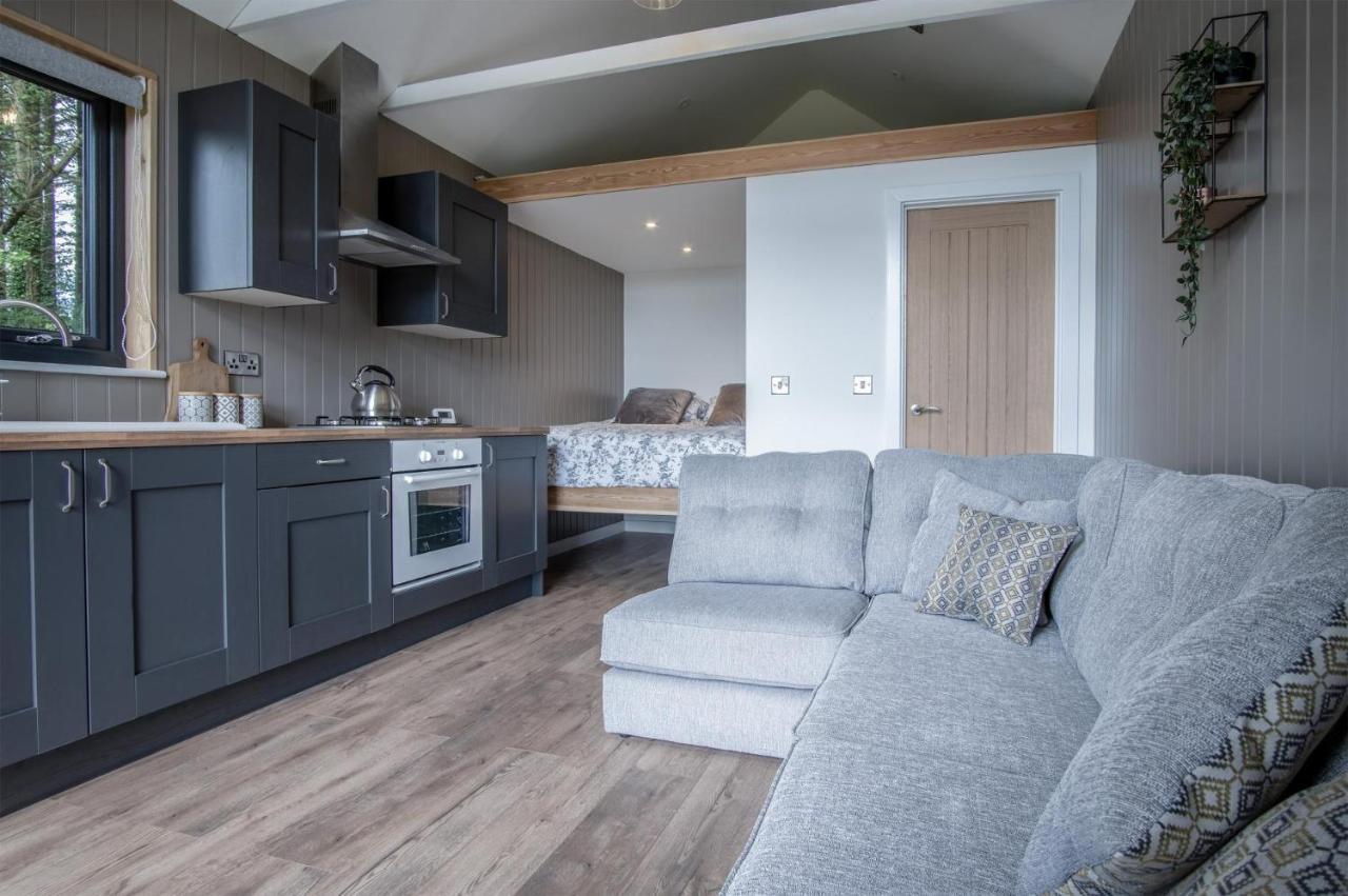Cabin In The Woods - 1 Bedroom Lodge - Kilgetty Stepaside  Exteriér fotografie