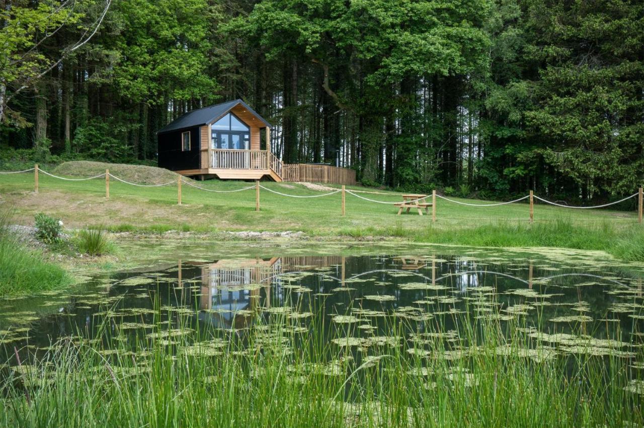 Cabin In The Woods - 1 Bedroom Lodge - Kilgetty Stepaside  Exteriér fotografie