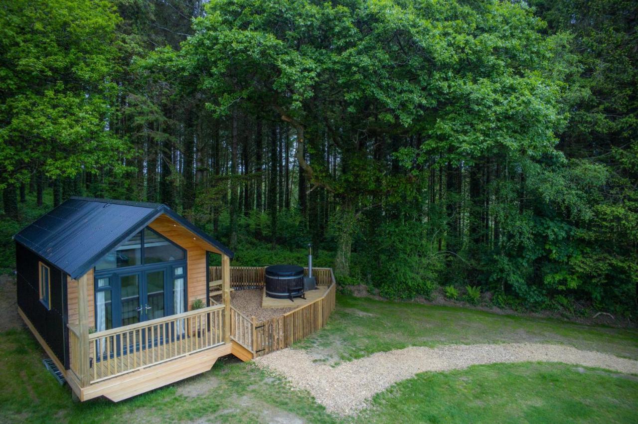 Cabin In The Woods - 1 Bedroom Lodge - Kilgetty Stepaside  Exteriér fotografie