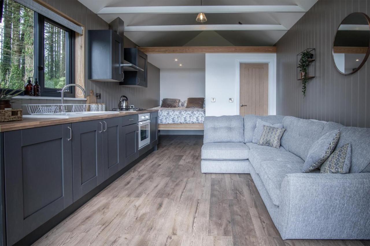 Cabin In The Woods - 1 Bedroom Lodge - Kilgetty Stepaside  Exteriér fotografie