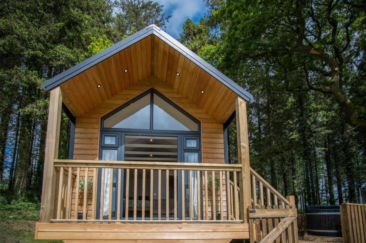 Cabin In The Woods - 1 Bedroom Lodge - Kilgetty Stepaside  Exteriér fotografie