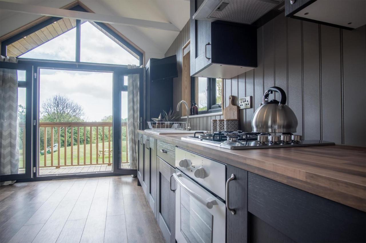 Cabin In The Woods - 1 Bedroom Lodge - Kilgetty Stepaside  Exteriér fotografie