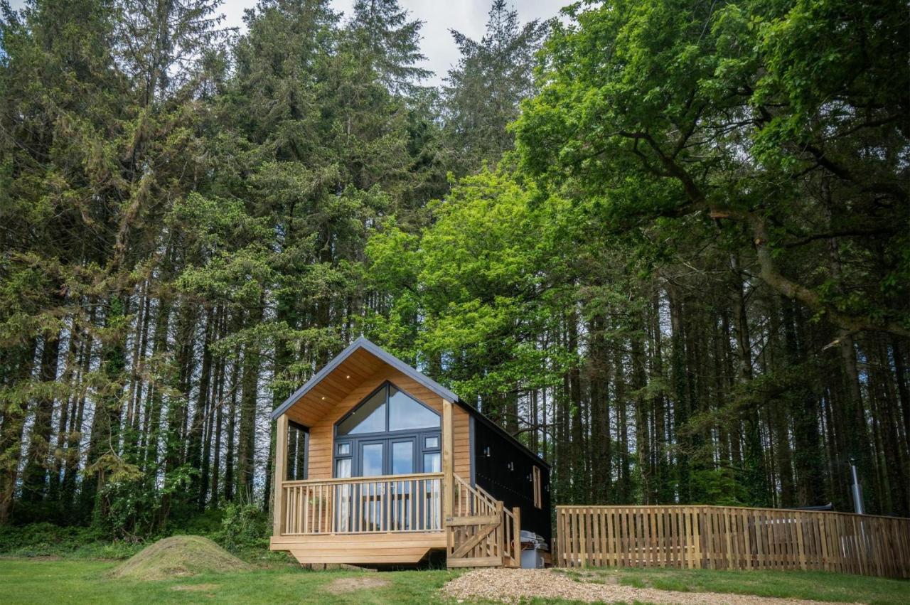Cabin In The Woods - 1 Bedroom Lodge - Kilgetty Stepaside  Exteriér fotografie