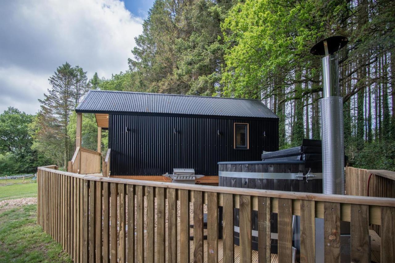 Cabin In The Woods - 1 Bedroom Lodge - Kilgetty Stepaside  Exteriér fotografie