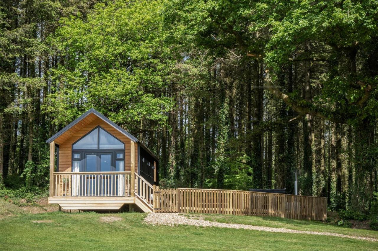 Cabin In The Woods - 1 Bedroom Lodge - Kilgetty Stepaside  Exteriér fotografie