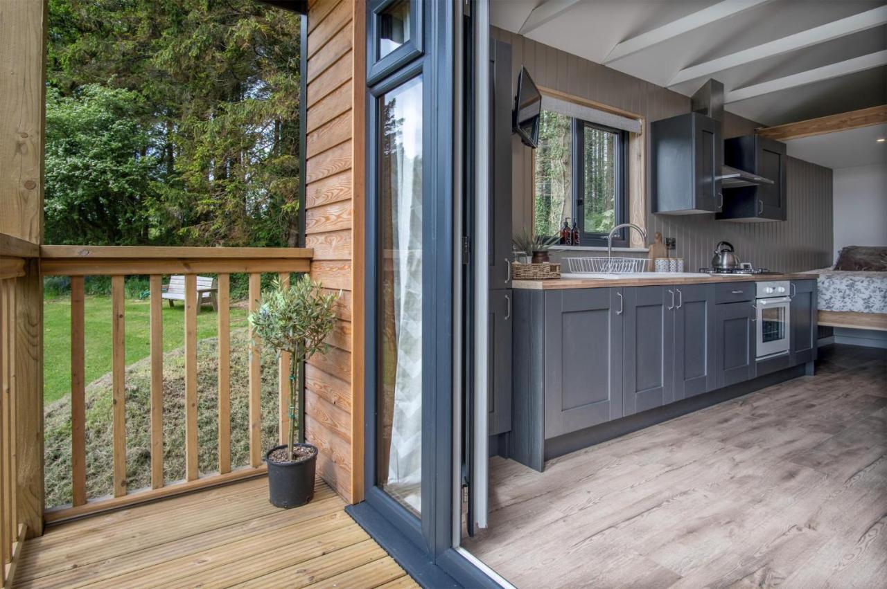 Cabin In The Woods - 1 Bedroom Lodge - Kilgetty Stepaside  Exteriér fotografie