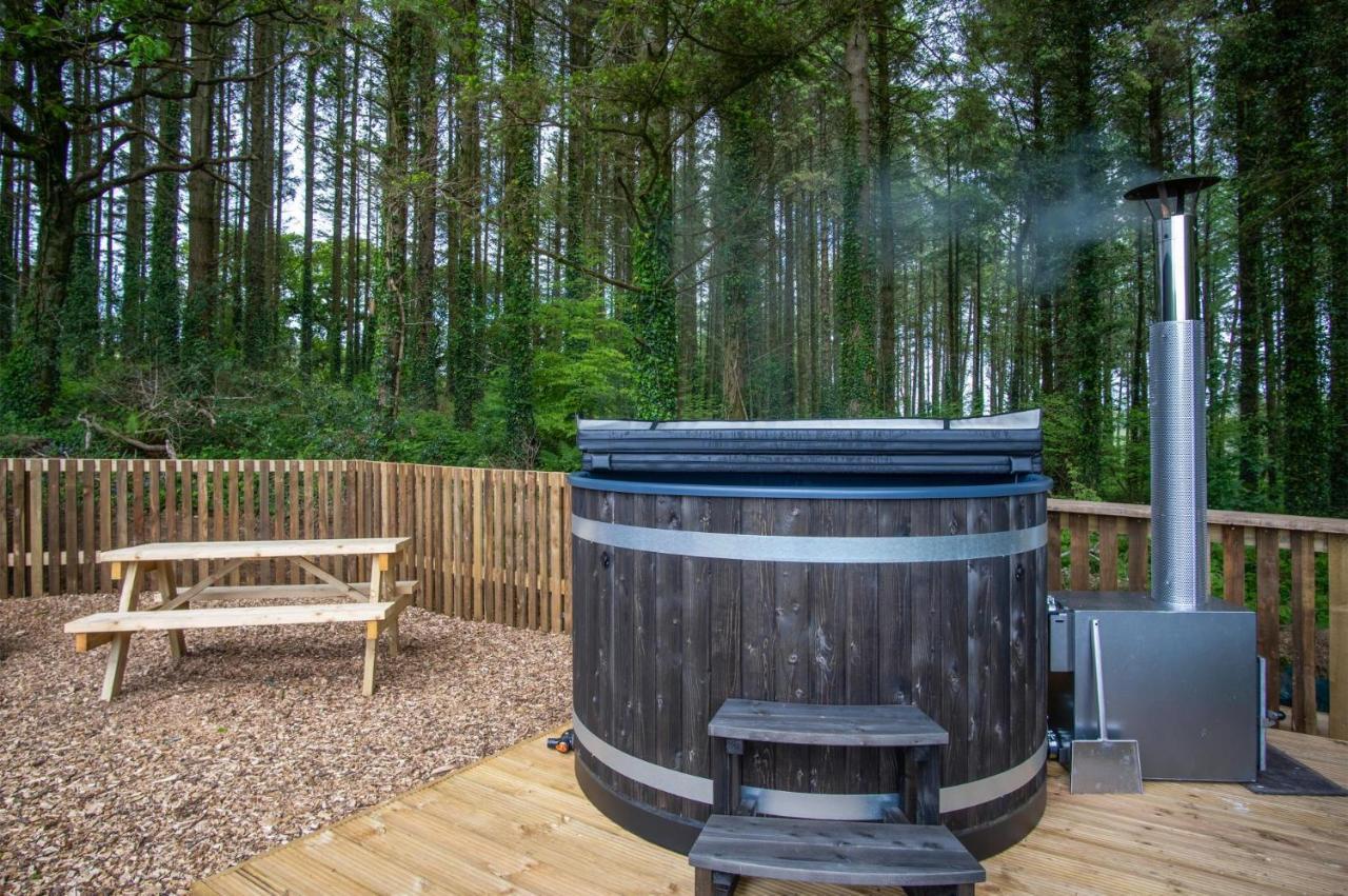 Cabin In The Woods - 1 Bedroom Lodge - Kilgetty Stepaside  Exteriér fotografie