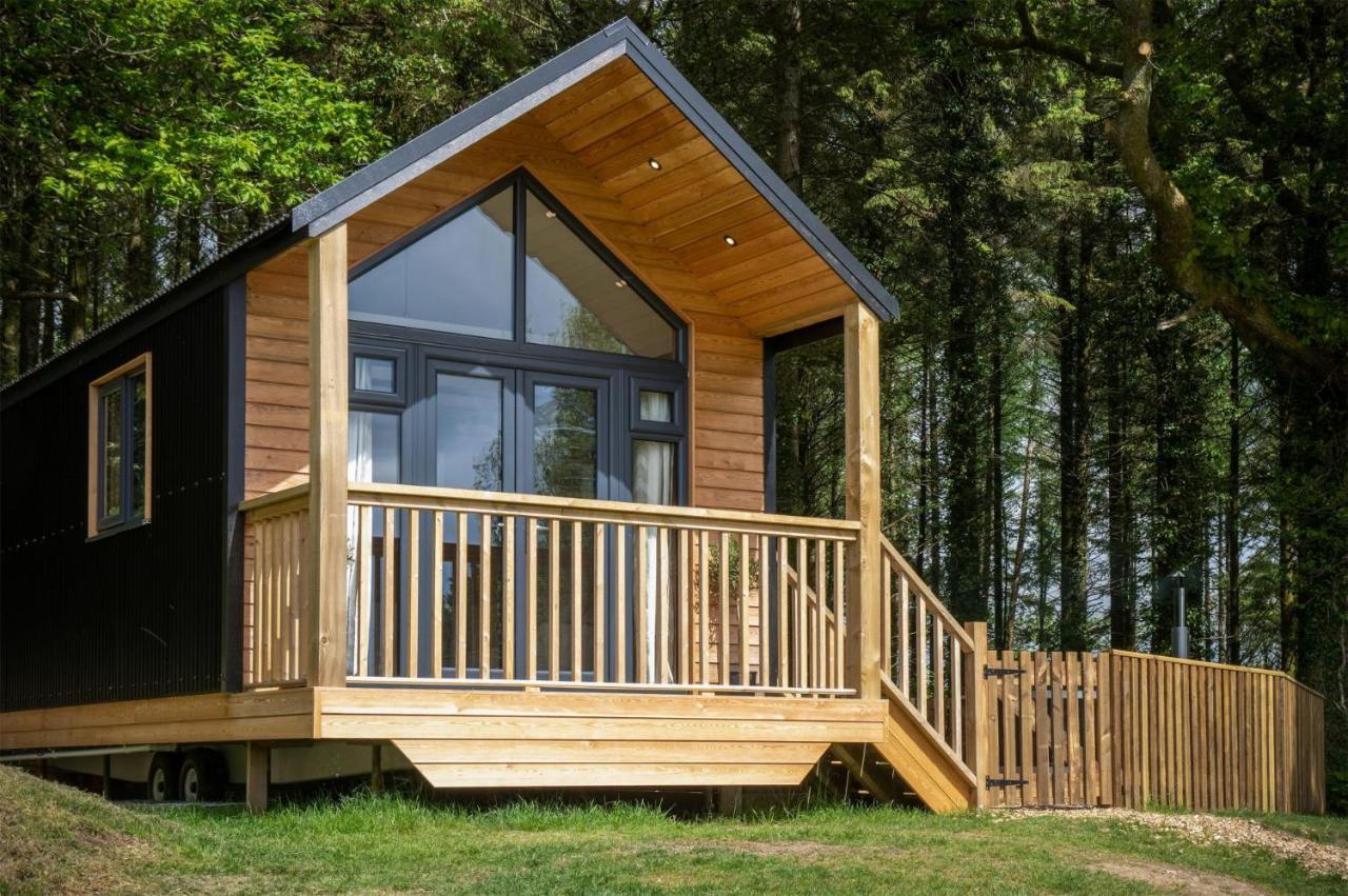 Cabin In The Woods - 1 Bedroom Lodge - Kilgetty Stepaside  Exteriér fotografie
