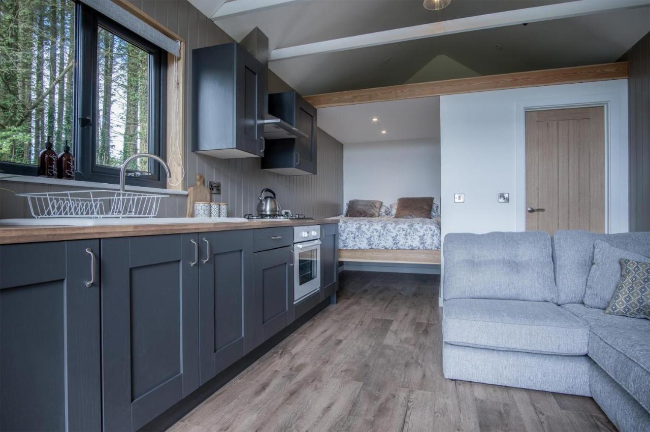 Cabin In The Woods - 1 Bedroom Lodge - Kilgetty Stepaside  Exteriér fotografie