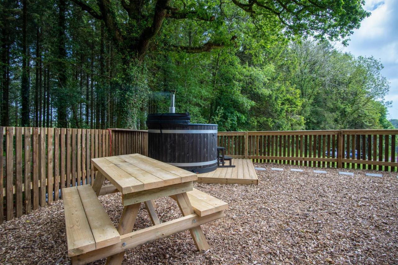 Cabin In The Woods - 1 Bedroom Lodge - Kilgetty Stepaside  Exteriér fotografie