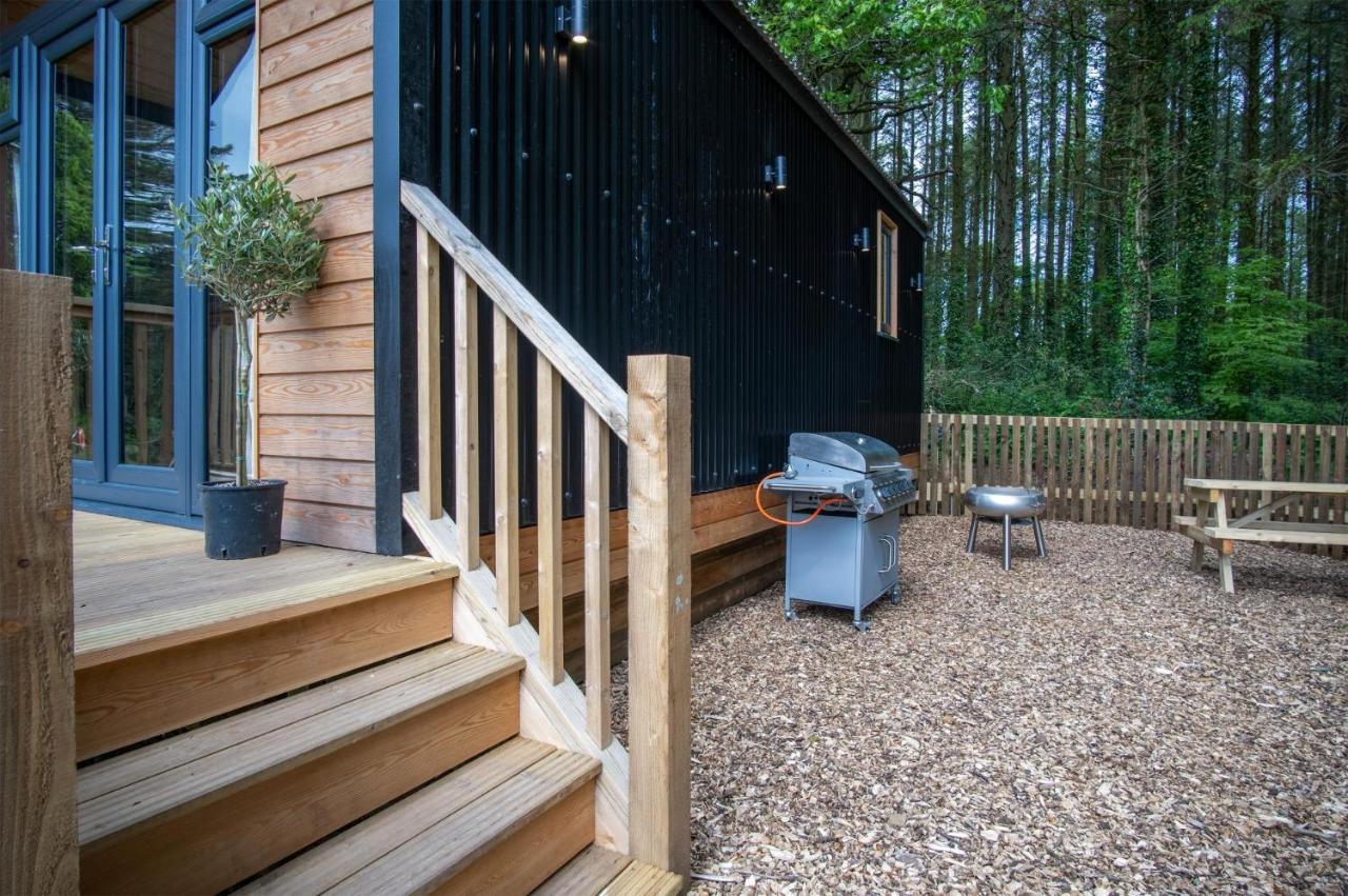 Cabin In The Woods - 1 Bedroom Lodge - Kilgetty Stepaside  Exteriér fotografie