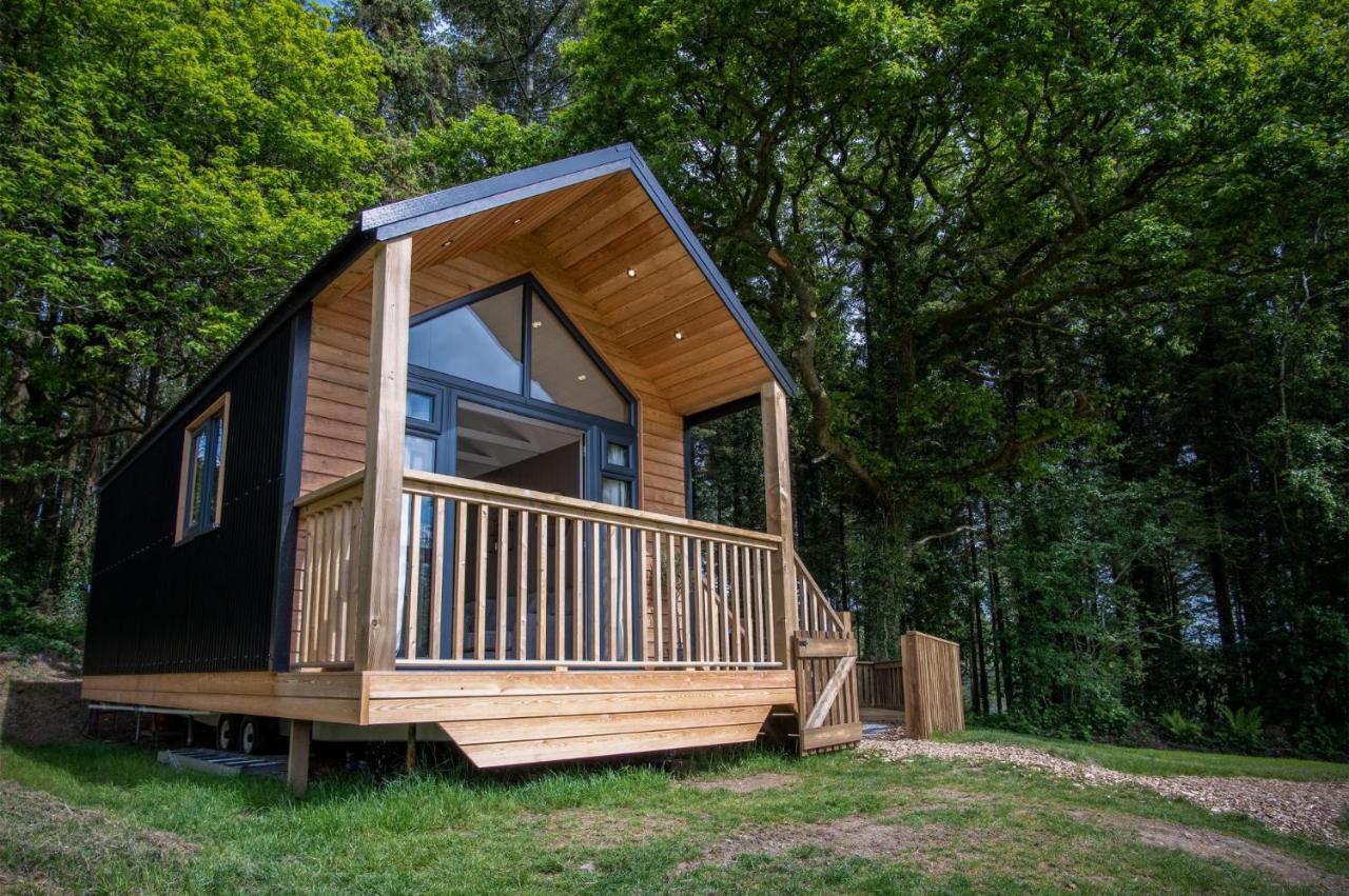 Cabin In The Woods - 1 Bedroom Lodge - Kilgetty Stepaside  Exteriér fotografie